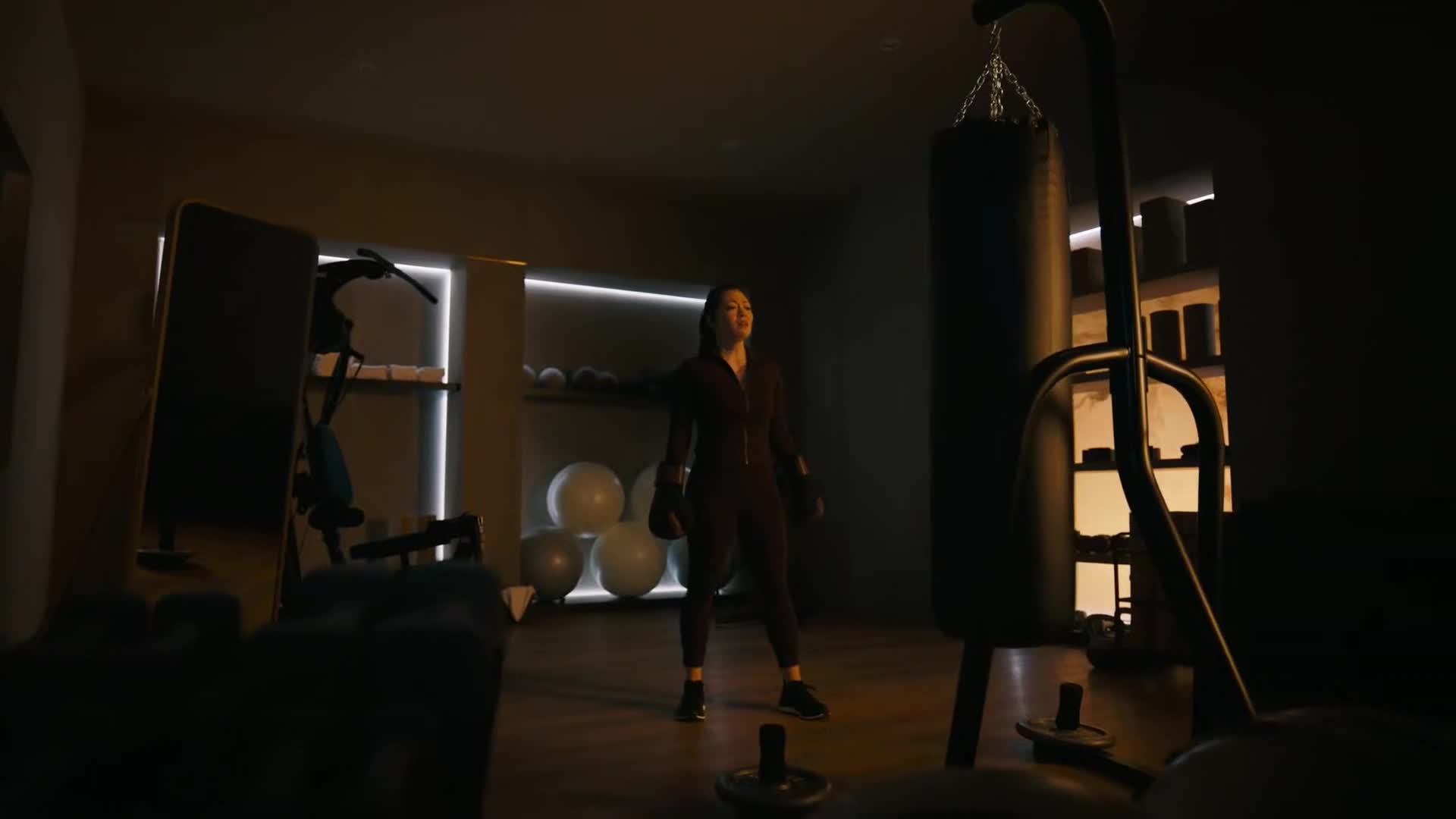 The Boxing Episode - TV Tropes