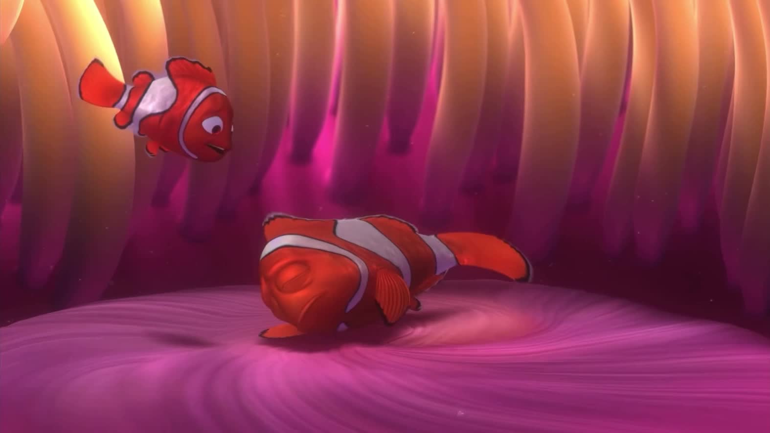 Video Examples for Finding Nemo - TV Tropes